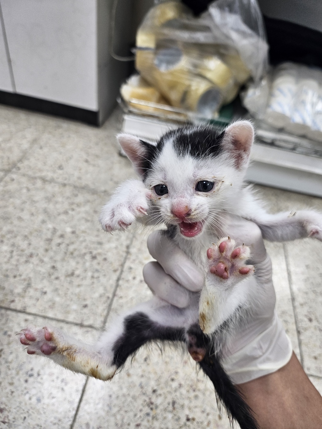 반려동물보호센터_443571202302689