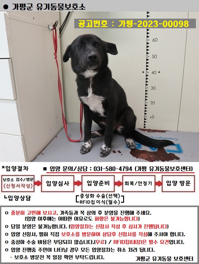 가평군유기동물보호소_441416202300442
