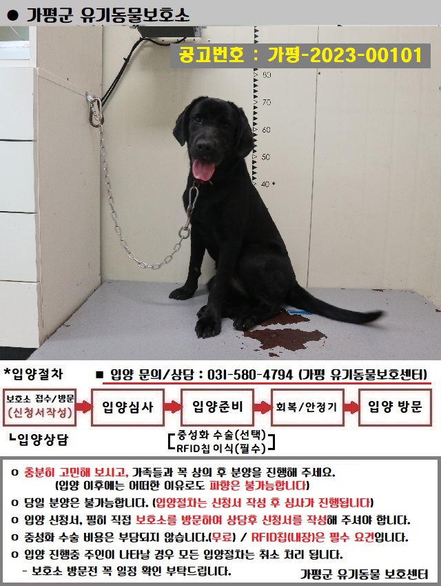 가평군유기동물보호소_441416202300445