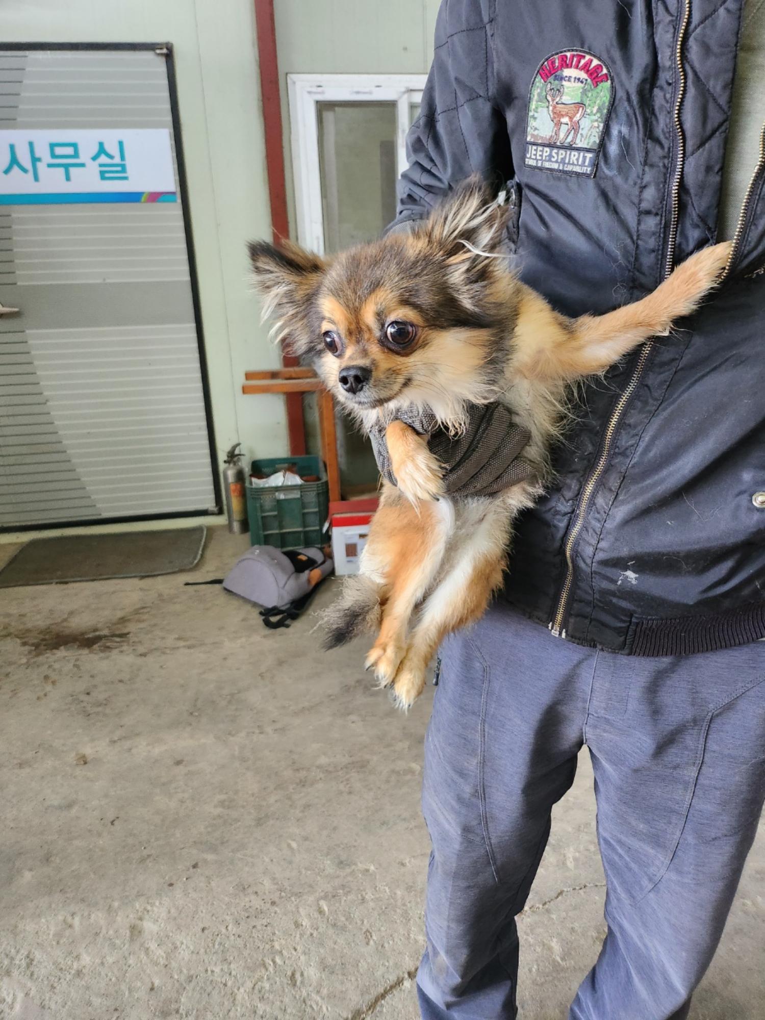 평택시유기동물보호소_441391202302439