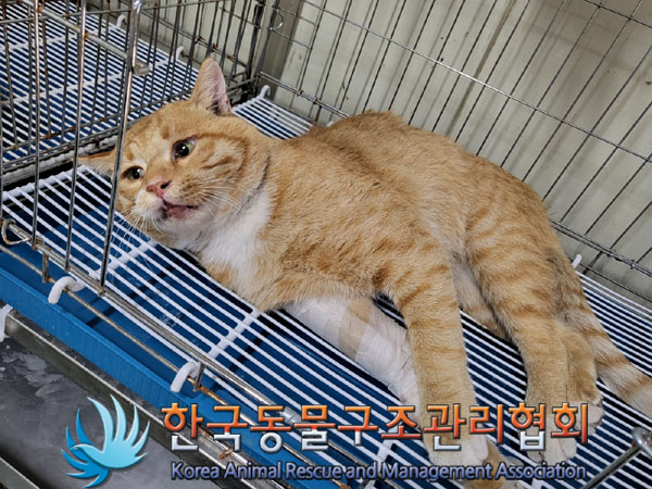 종료(자연사) 한국…