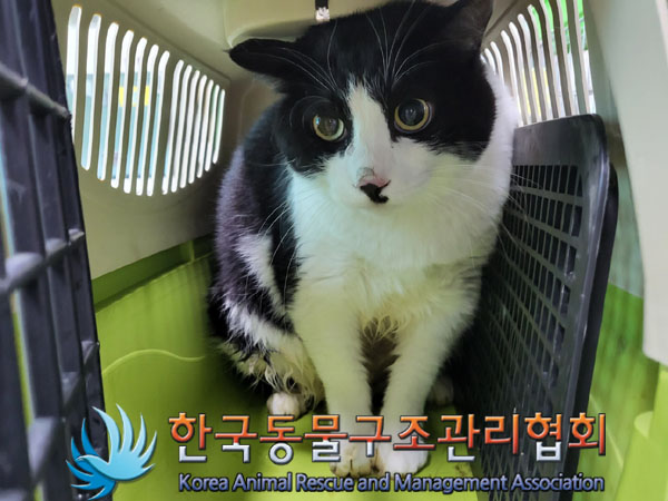 한국동물구조관리협회_441406202301480