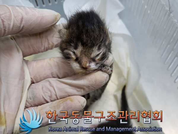 한국동물구조관리협회_441414202300765