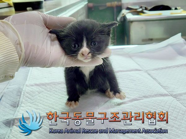 종료(자연사) 한국…