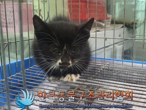 종료(자연사) 한국…