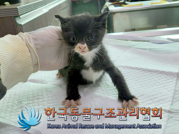 종료(자연사) 한국…