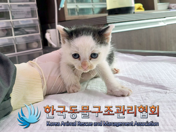 종료(자연사) 한국…