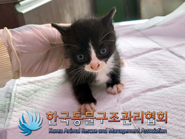 종료(자연사) 한국…
