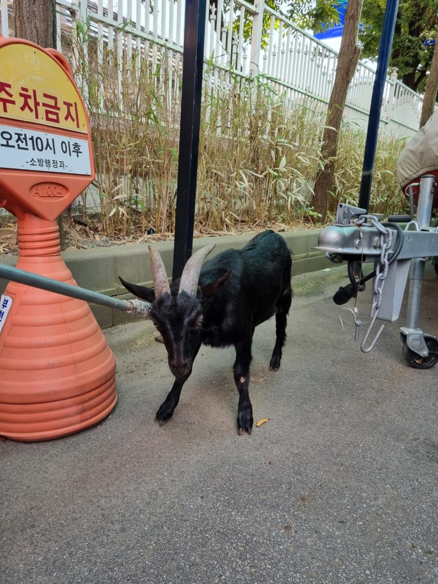 부천시수의사회_441386202301344