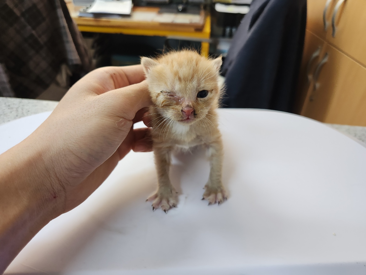 광주 동물보호소_429361202300486