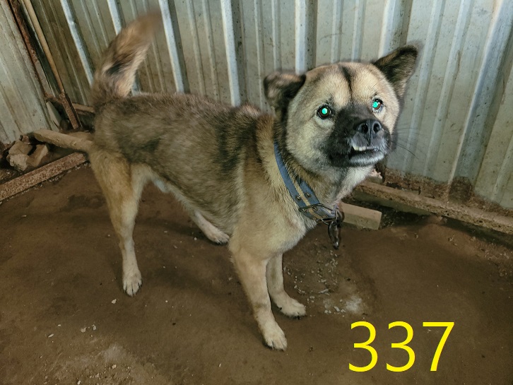 신영재동물병원_428355202300539