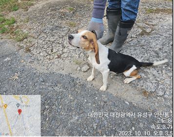 대전동물보호센터_430367202300587