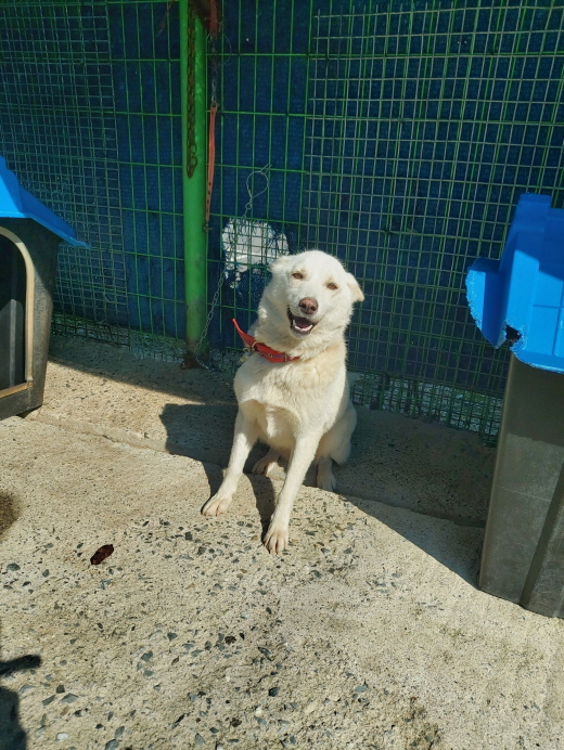 제일동물병원_444455202300347