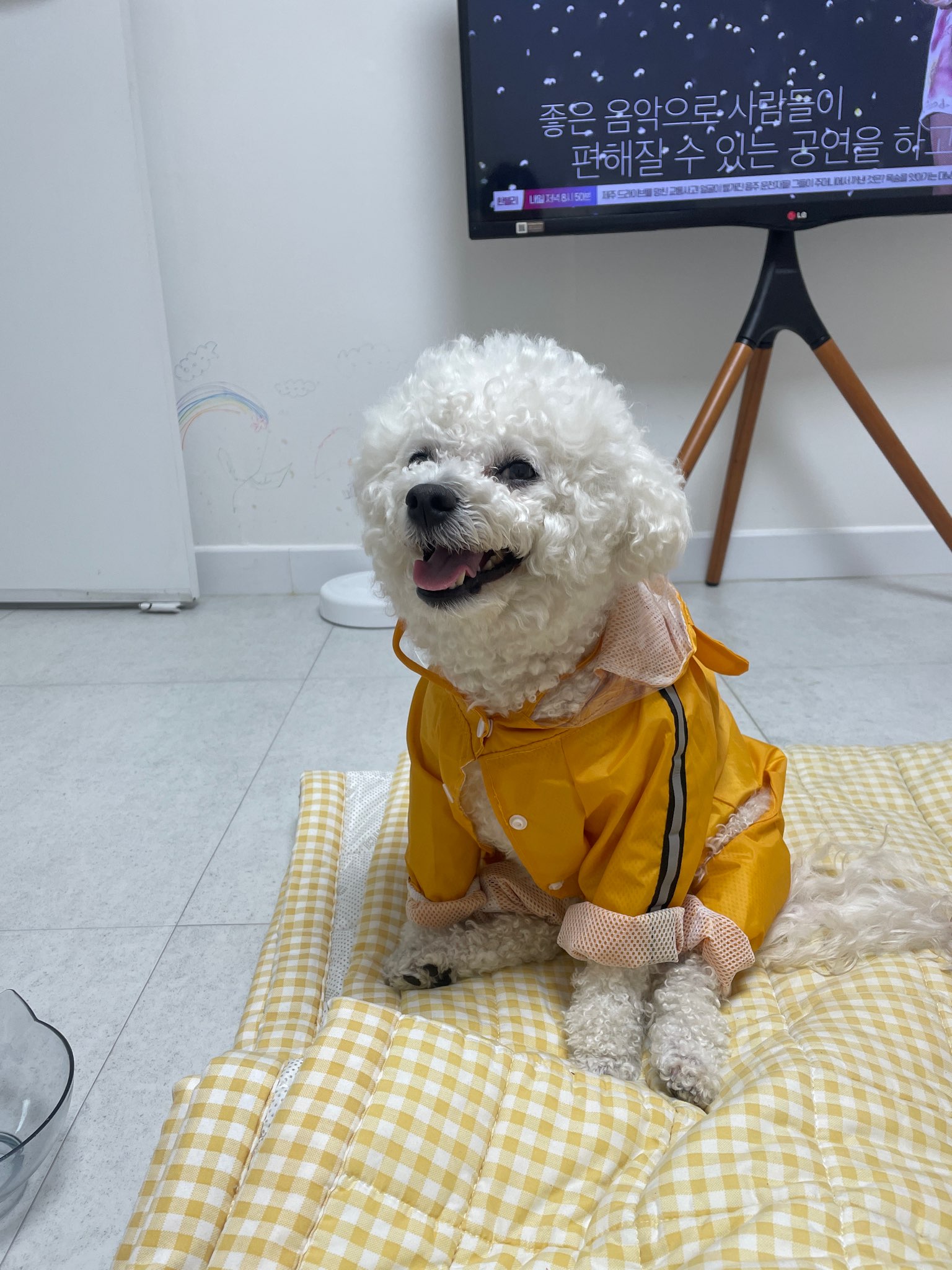 인천광역시수의사회_428353202301119