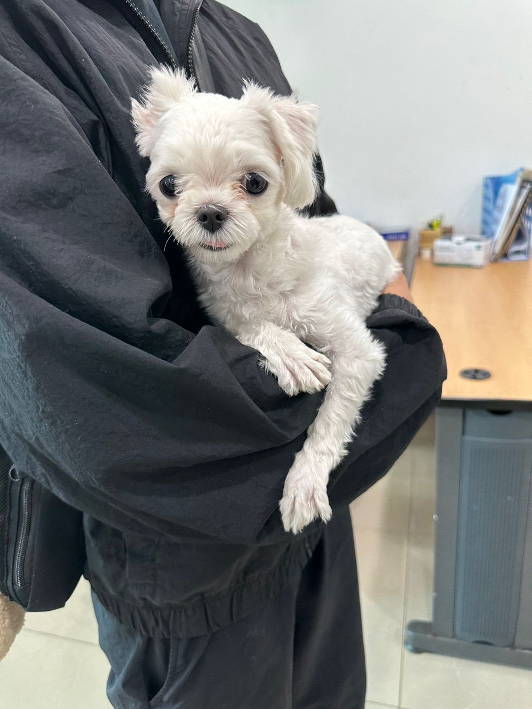 반려동물보호센터_443571202302731