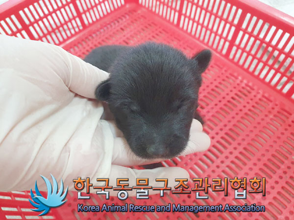 한국동물구조관리협회_441409202301593