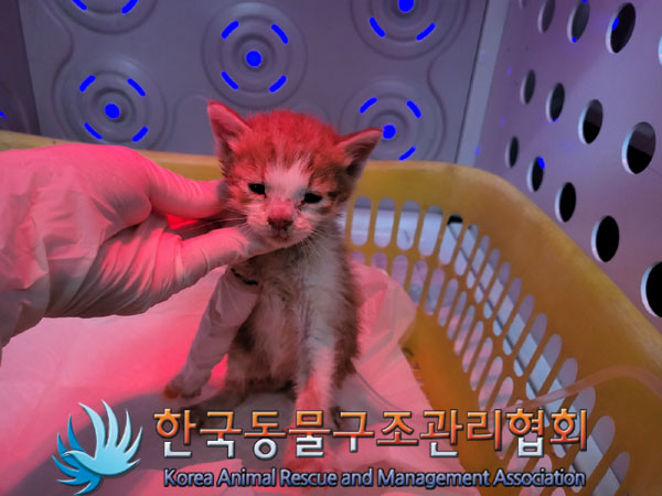 한국동물구조관리협회_411310202300454