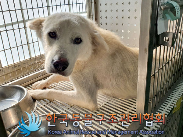 한국동물구조관리협회_441406202301496