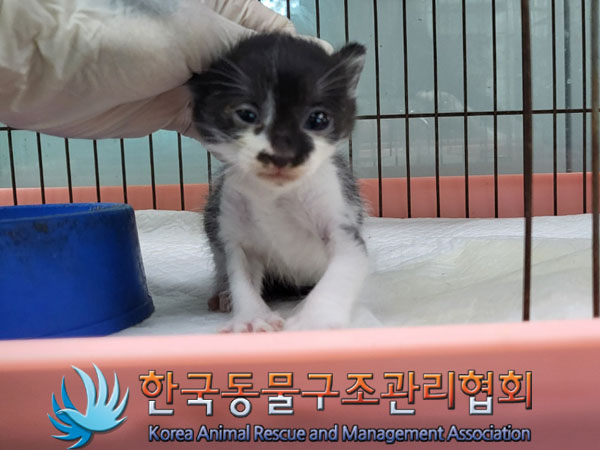 한국동물구조관리협회_441559202300984