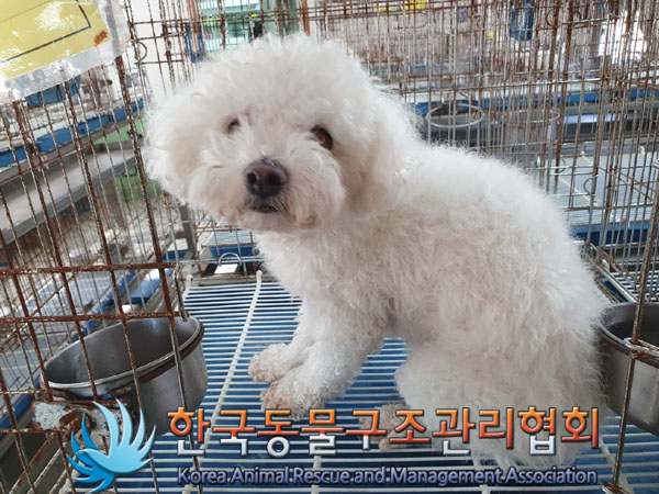 한국동물구조관리협회_441382202300709