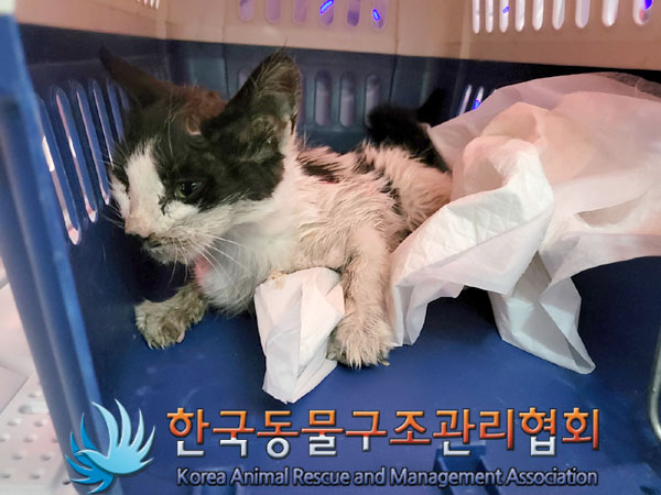 종료(자연사) 한국…