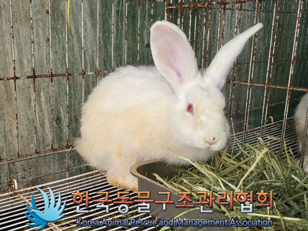 한국동물구조관리협회_411304202300669