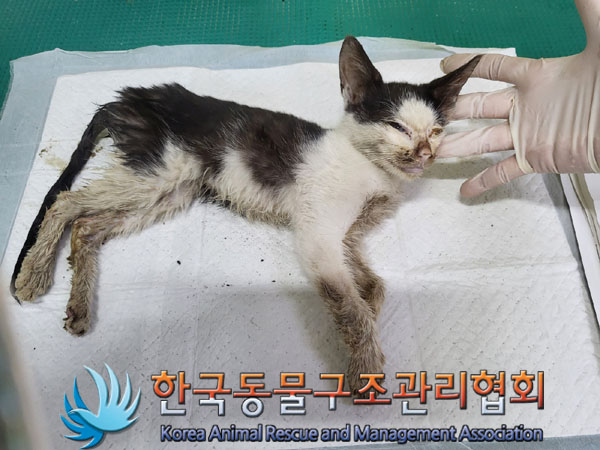 한국동물구조관리협회_441414202300766