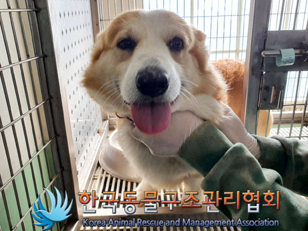 한국동물구조관리협회_441560202301351