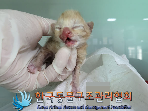 한국동물구조관리협회_441406202301499