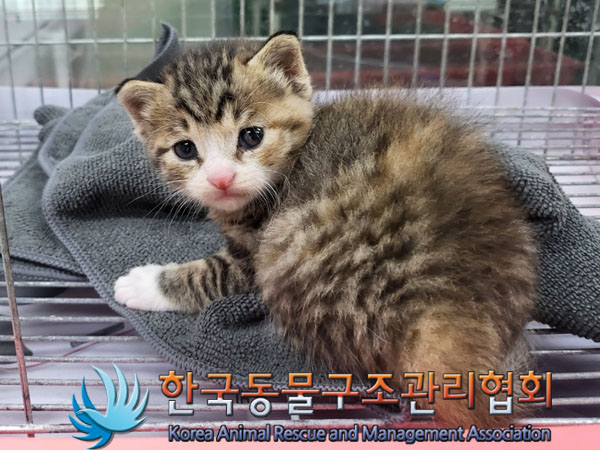 종료(자연사) 한국…
