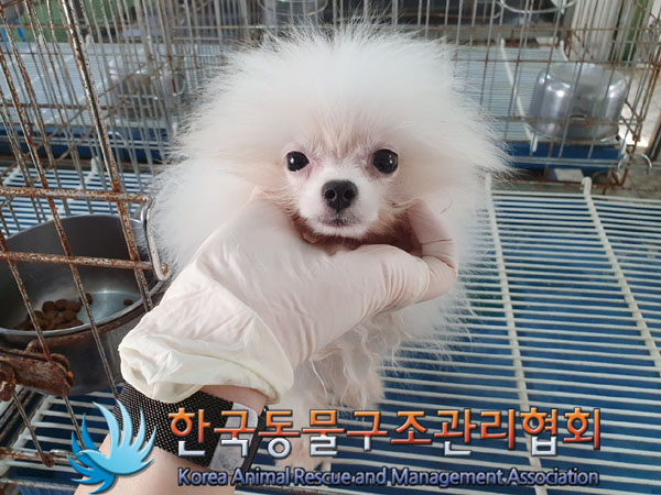 한국동물구조관리협회_411307202300416