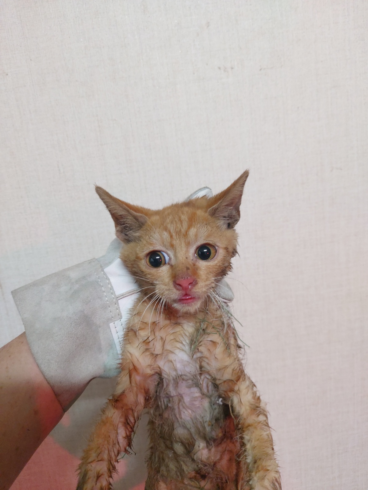 우리동물병원_428356202301759