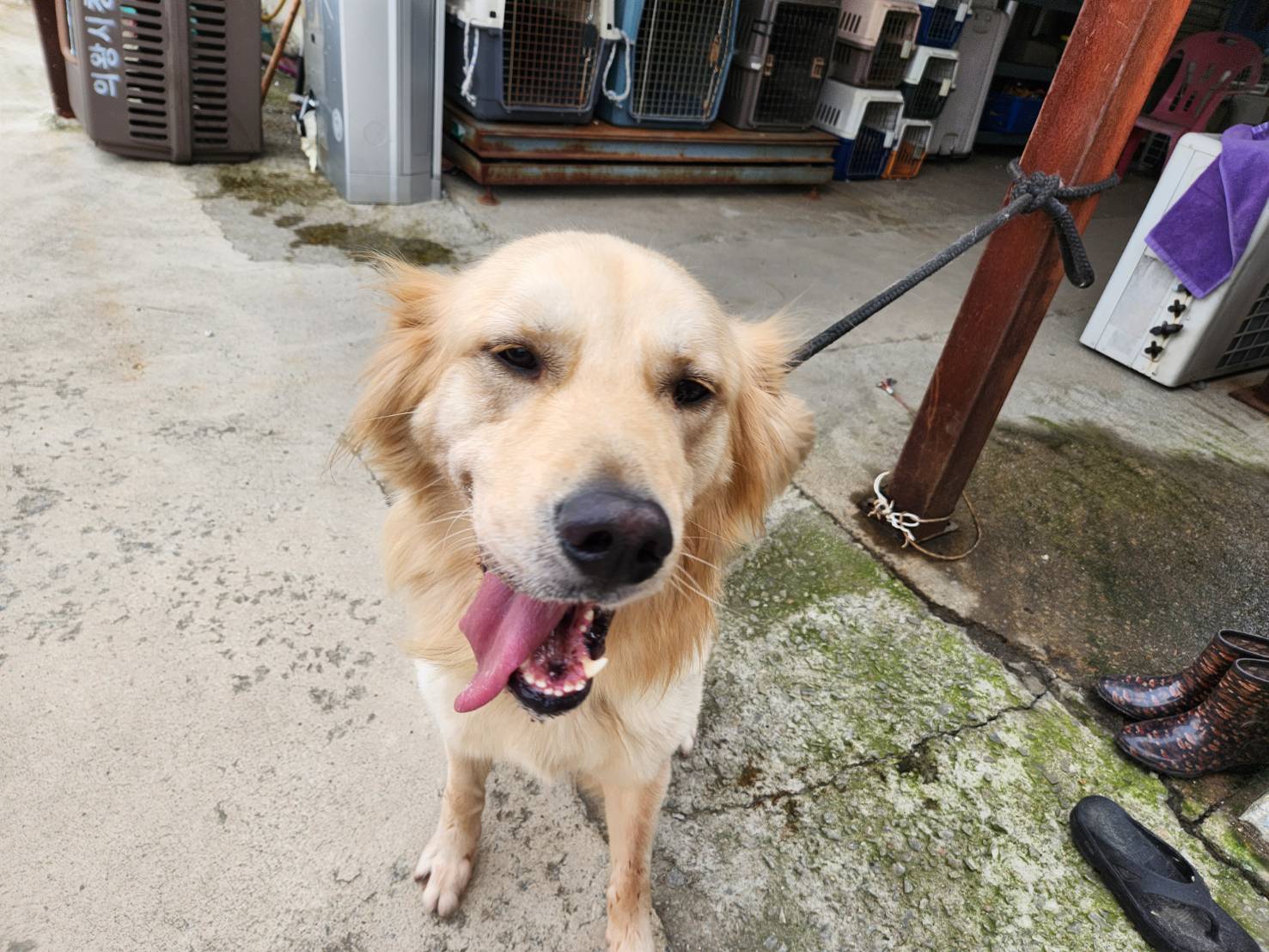 한국야생동물보호협회_441393202301994