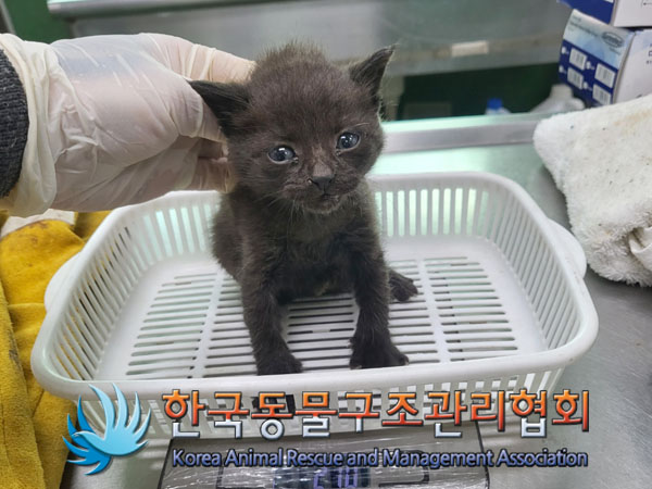 한국동물구조관리협회_411305202300503