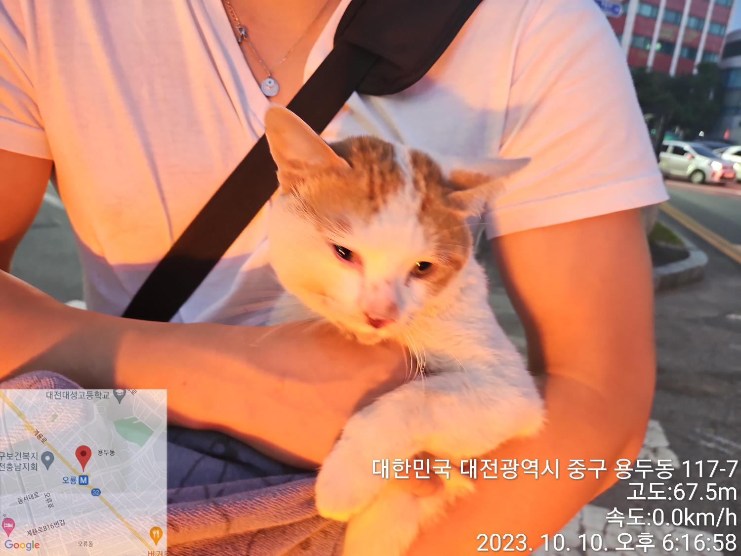 대전동물보호센터_430365202300497