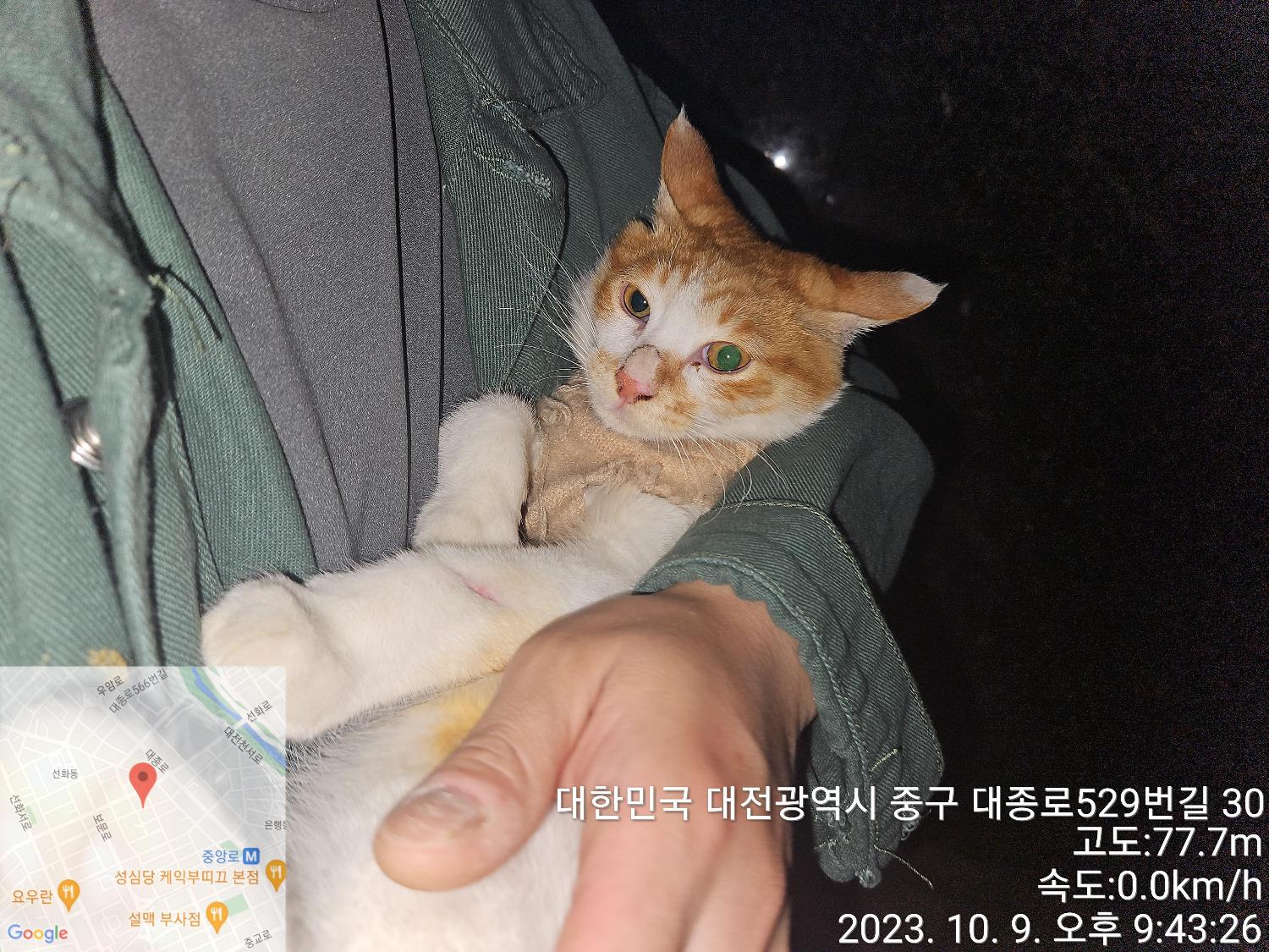 대전동물보호센터_430365202300495
