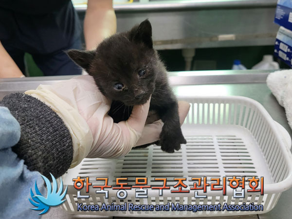 종료(자연사) 한국…