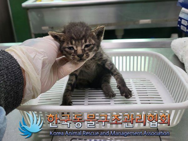 종료(자연사) 한국…