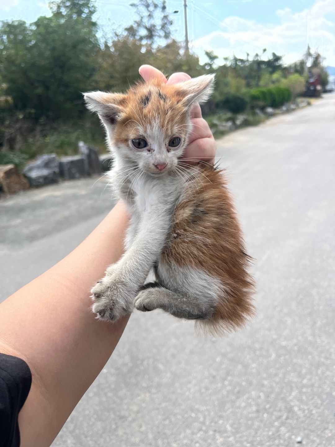 부산동물보호센터_426332202300575