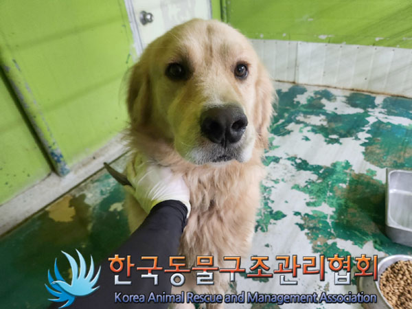 한국동물구조관리협회_441560202301353