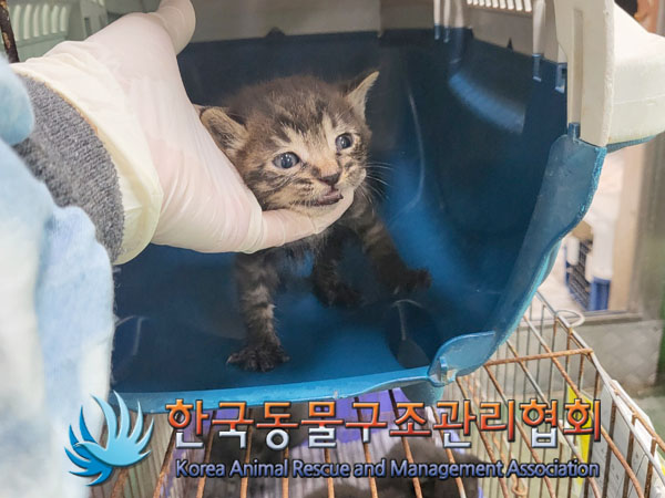 종료(자연사) 한국…