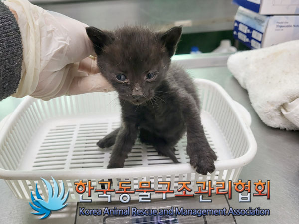 종료(자연사) 한국…