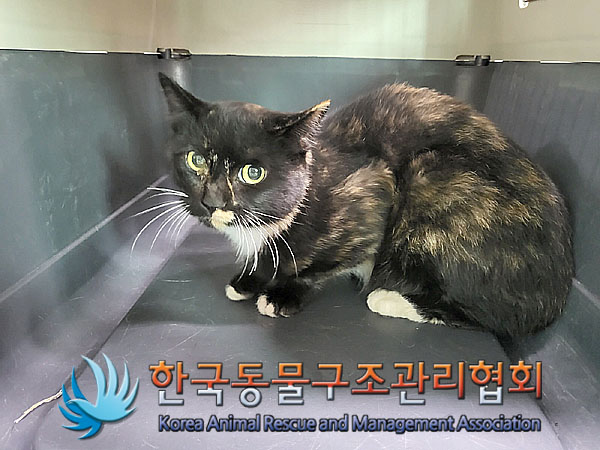 한국동물구조관리협회_441414202300775