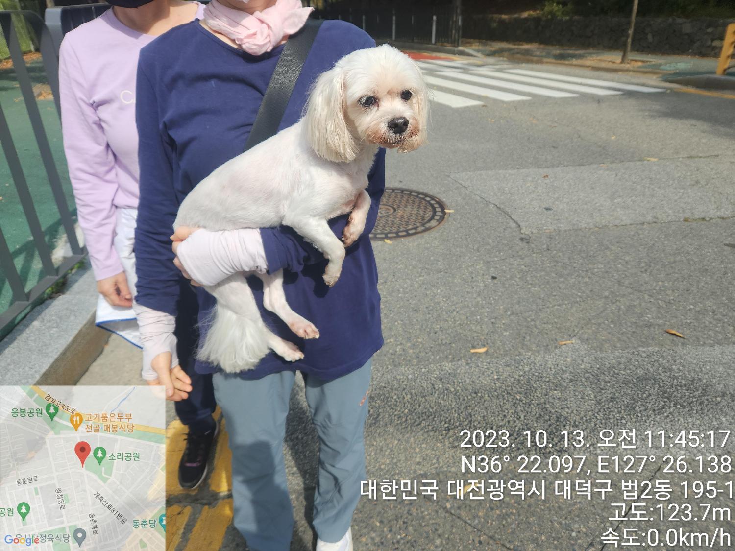 대전동물보호센터_430368202300457