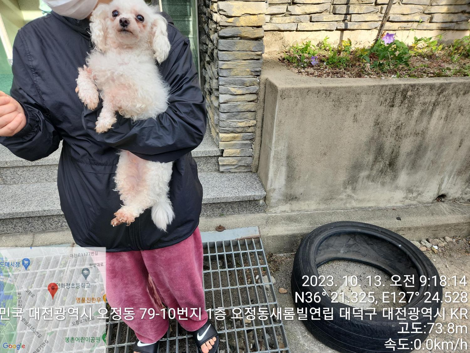 대전동물보호센터_430368202300455