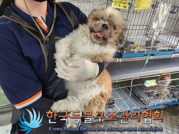 한국동물구조관리협회_441559202300988