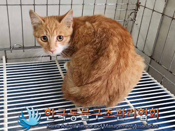 한국동물구조관리협회_441414202300774