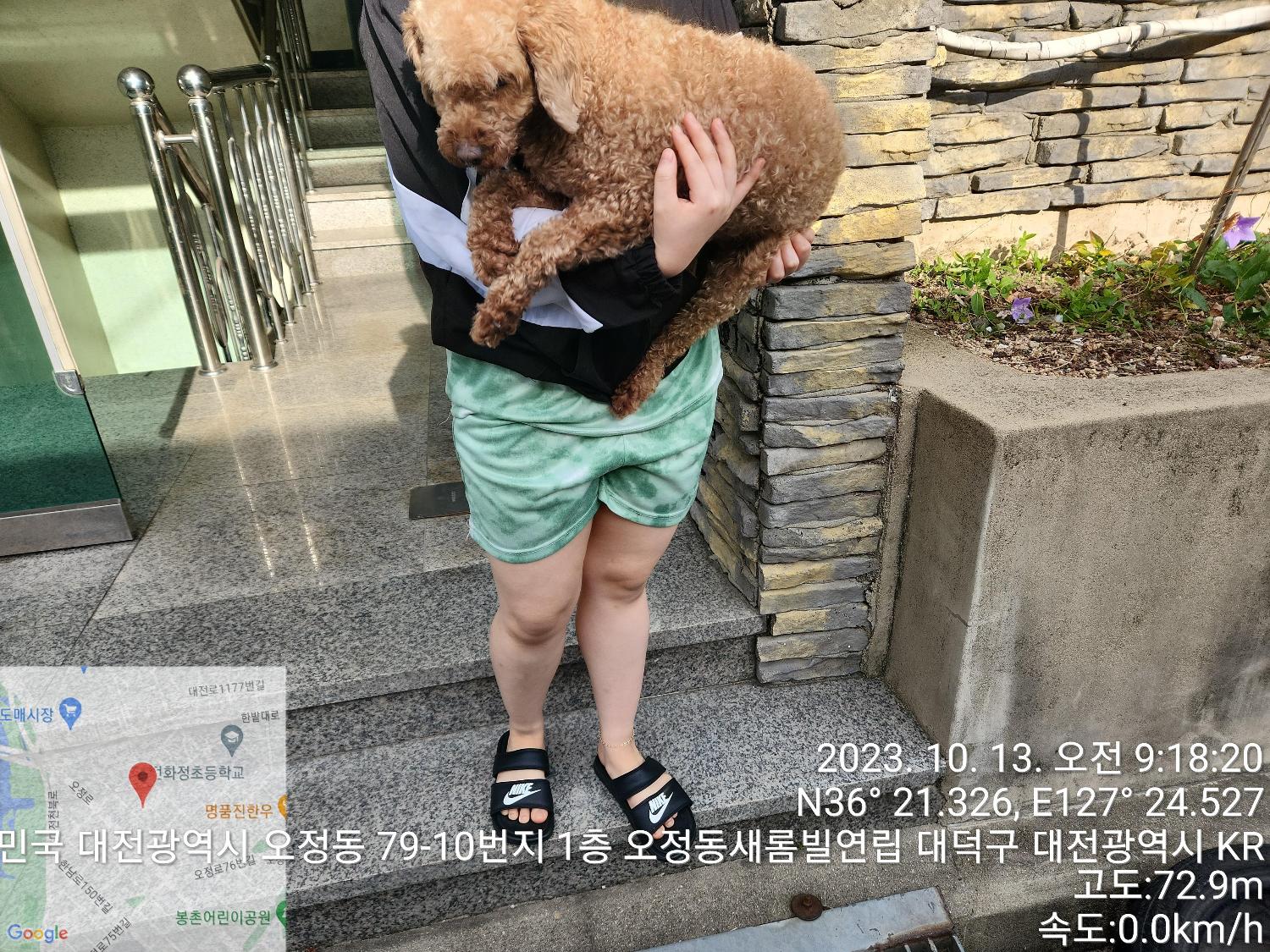 대전동물보호센터_430368202300456