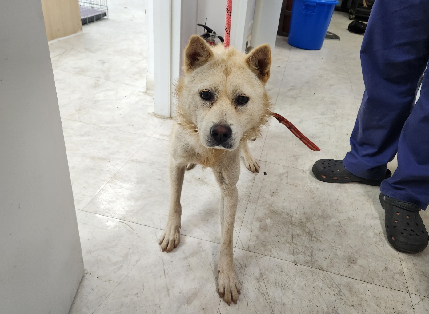 광주TNR동물병원송정_441554202301665