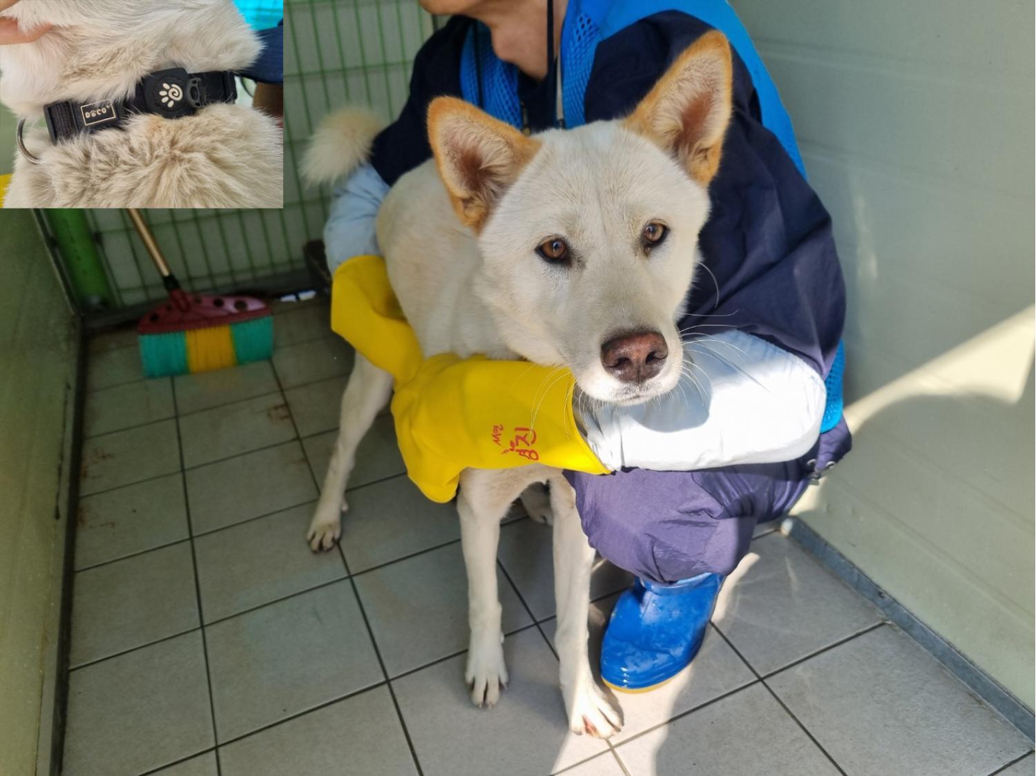 (사)영일동물플러스_447502202301192